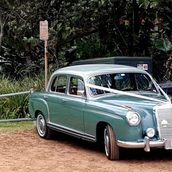 20241117_063033_censored