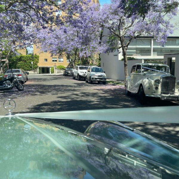Kirribilli wedding car5